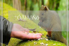 五华如果欠债的人消失了怎么查找，专业讨债公司的找人方法